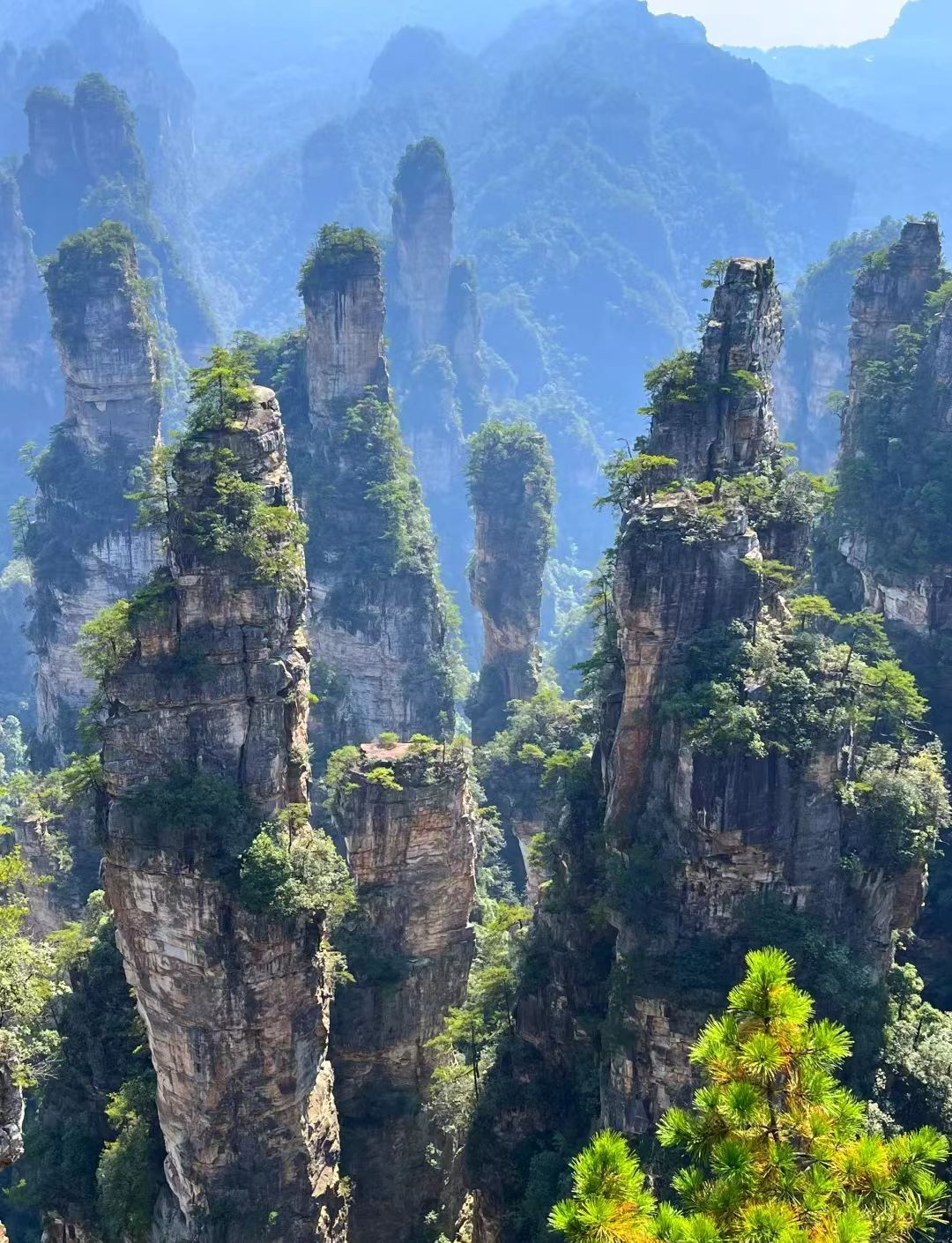 Zhangjiajie, China — recovery in nature